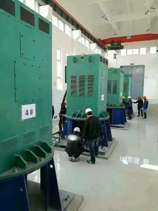 噶尔某污水处理厂使用我厂的立式高压电机安装现场