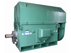 噶尔Y系列6KV高压电机